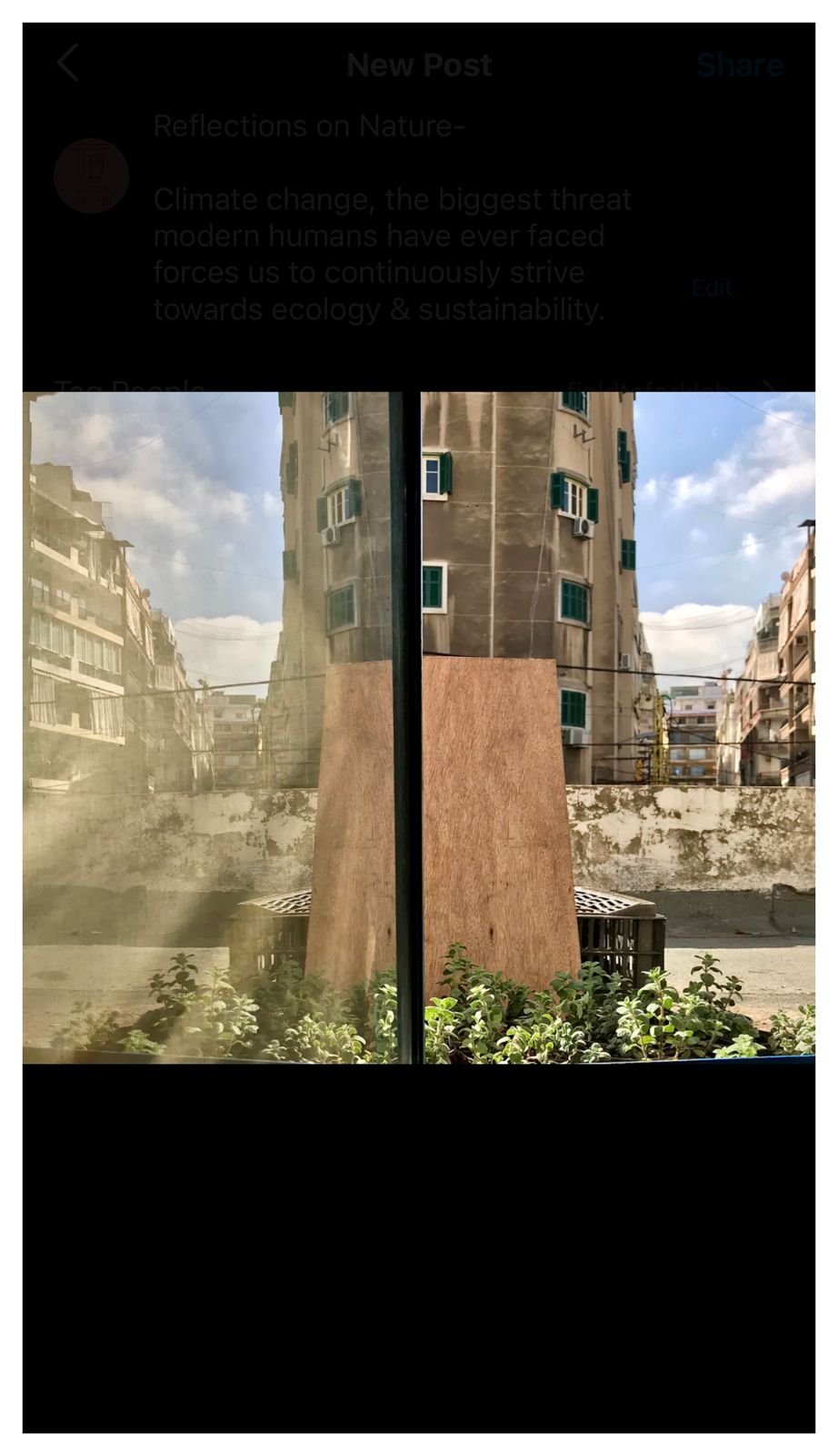 GRAINS at Nation Station — rooftop herbs growing in upcycled crates, framed by the Beirut city skyline.