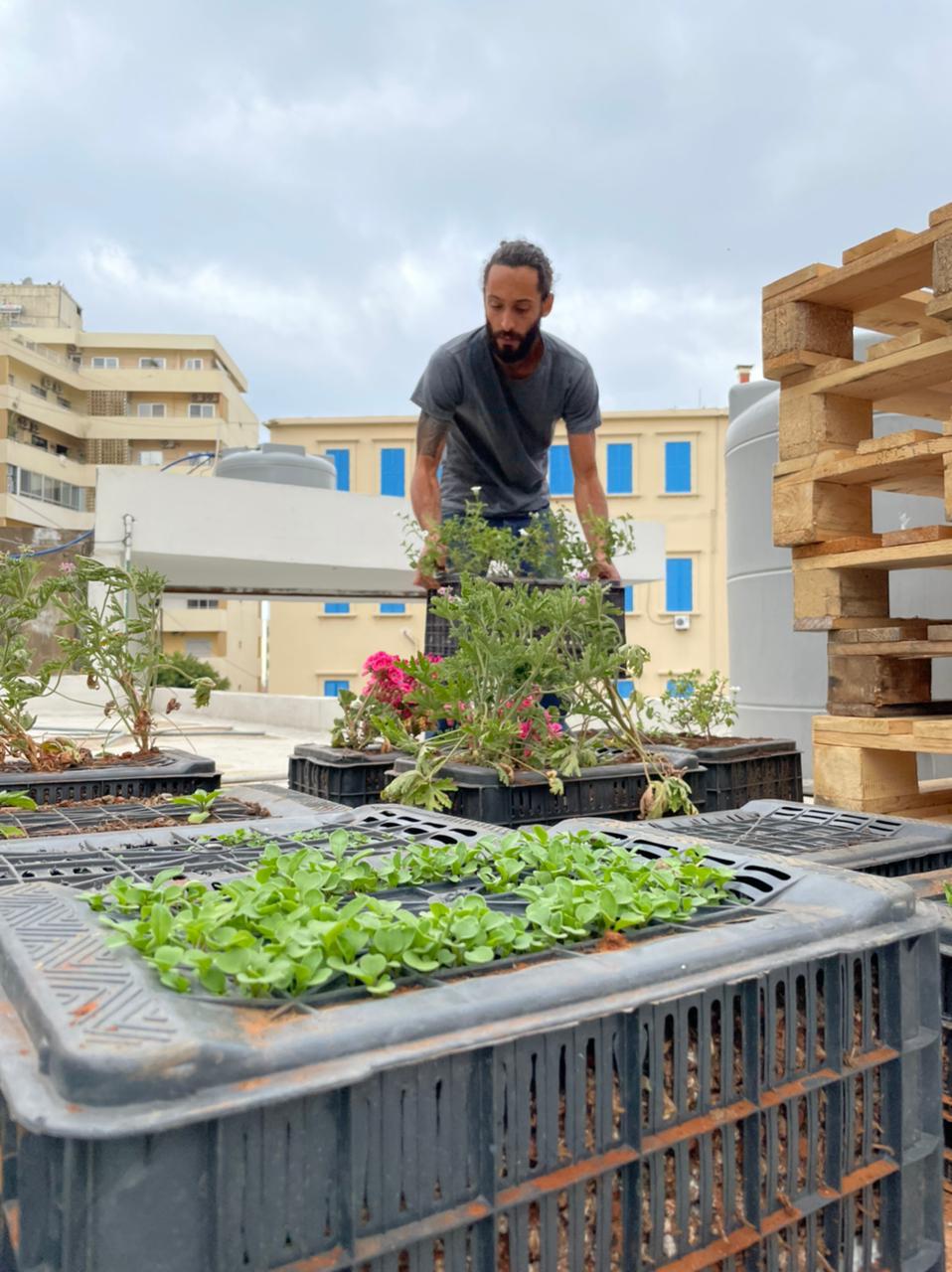 A Nation Station volunteer tending GRAINS rooftop planter crates in Beirut.