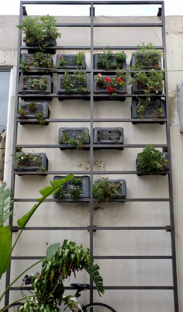 Vertical wall garden at Nation Station — plant crates arranged on a tall metal frame.